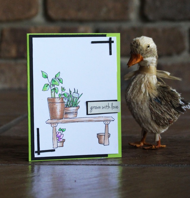 Ducky card
